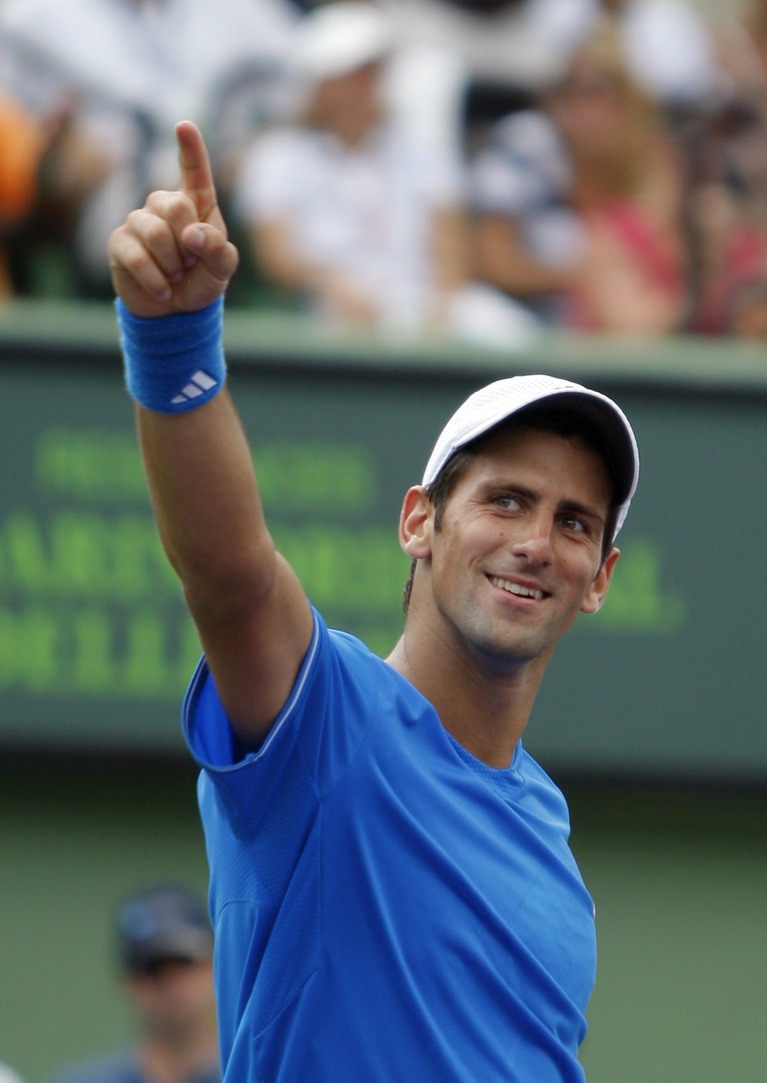 动的代表 动的代表