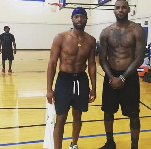 球网球爱好 球网球爱好